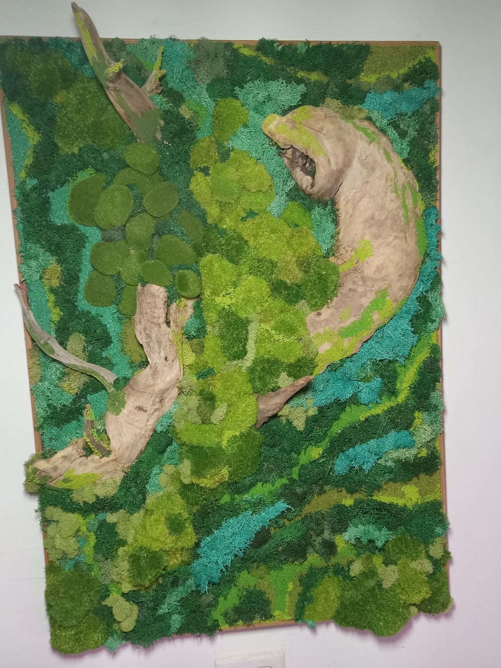 Living Moss Wall Art with Driftwood Accent - Green